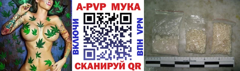 мориарти какой сайт  Асино  A PVP СК 