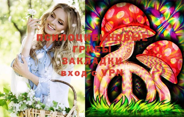 мяу мяу мука Алексин