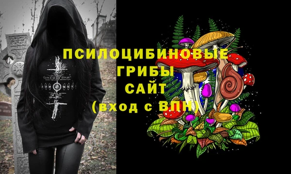 мяу мяу мука Алексин