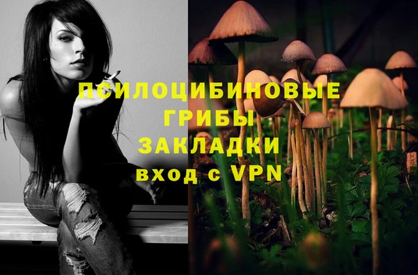 мяу мяу мука Алексин