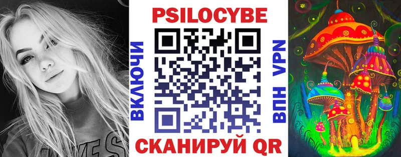 закладка Асино Галлюциногенные грибы GOLDEN TEACHER